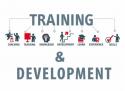  Training and Development