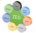  ZED Maturity Model